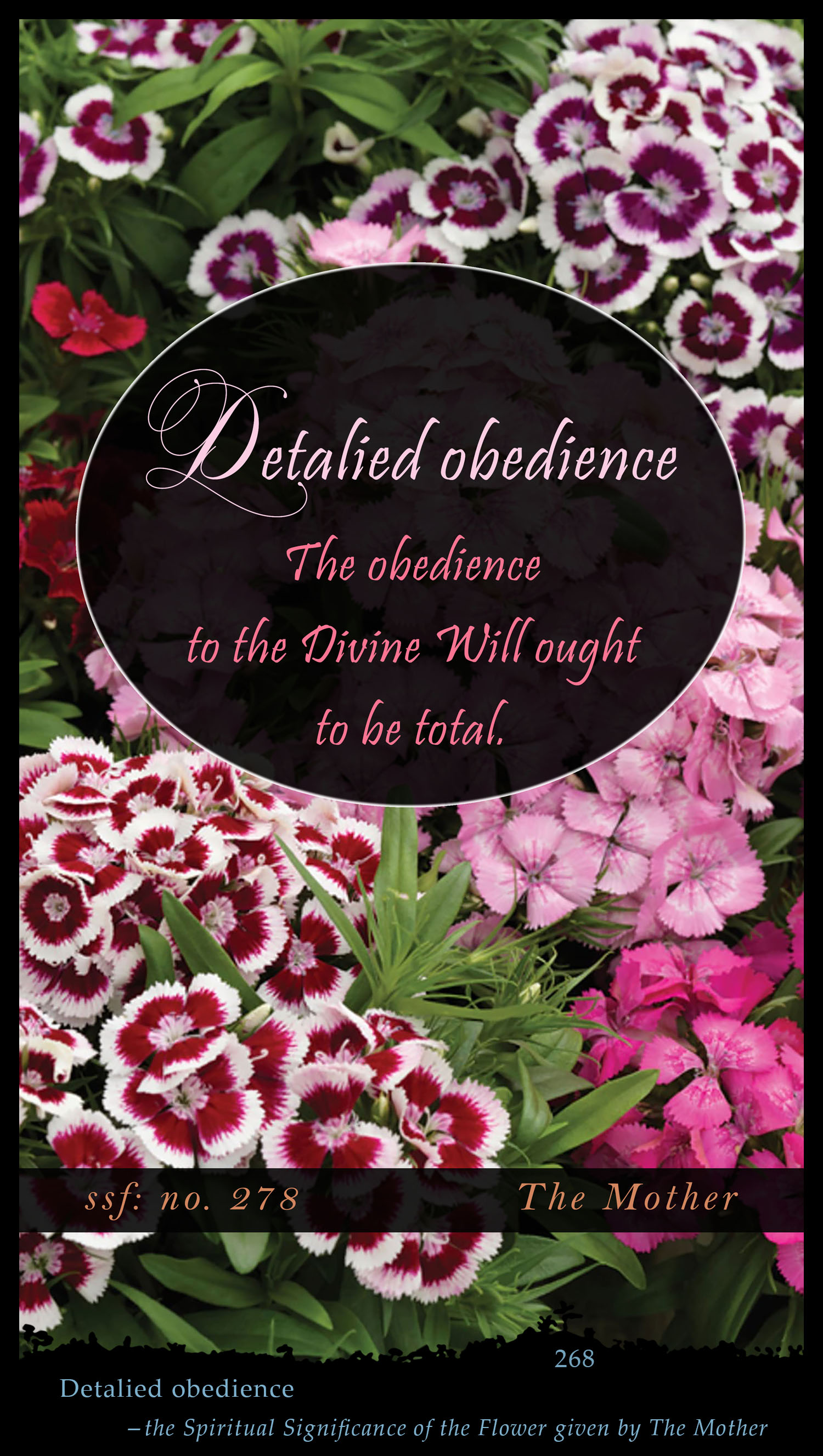 Detalied Obedience